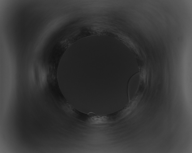 X0000100890526200806241234
