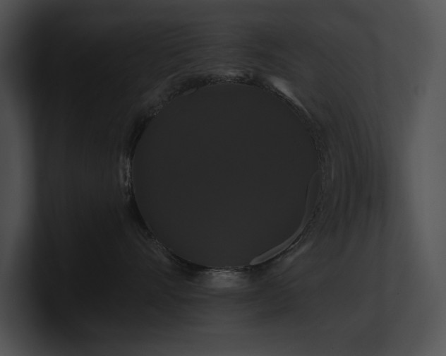 X0000100890528200806241234