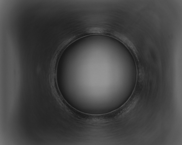 X0000100890529200806241233