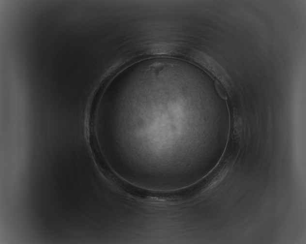 X0000100890530200806241233