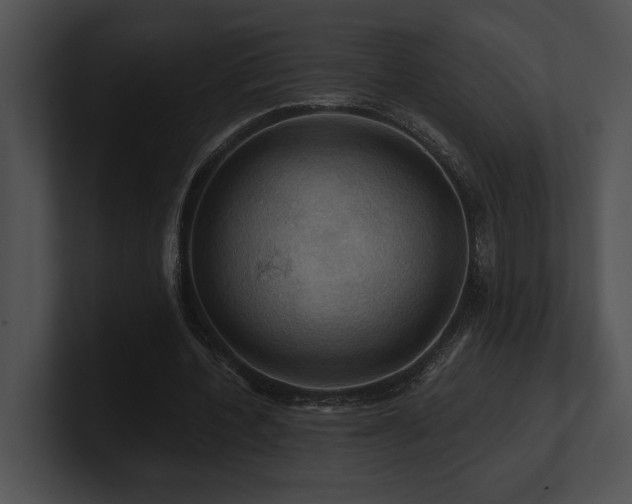 X0000100890532200806241233