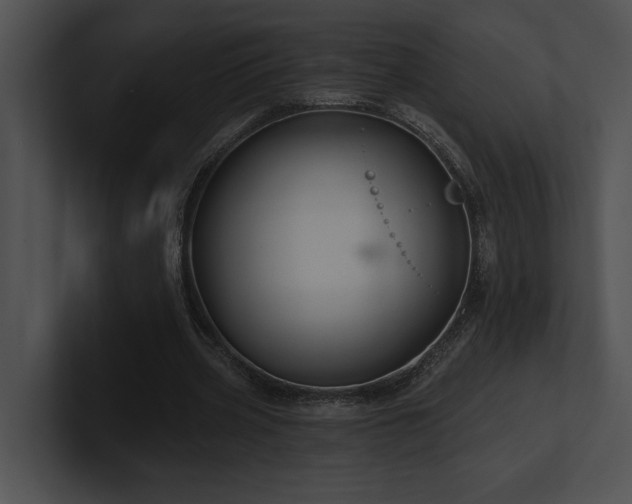 X0000100890533200806241233