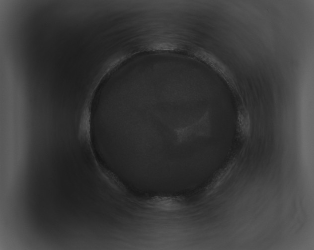 X0000100890534200806241233