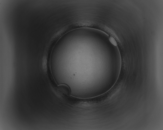 X0000100890538200806241233