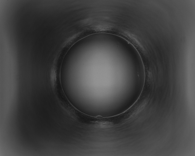 X0000100890539200806241233