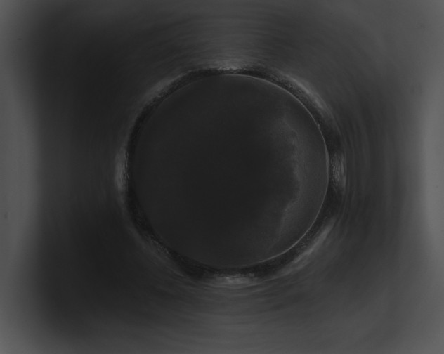 X0000100890540200806241233