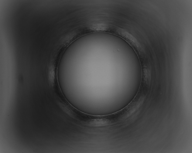 X0000100890541200806241233