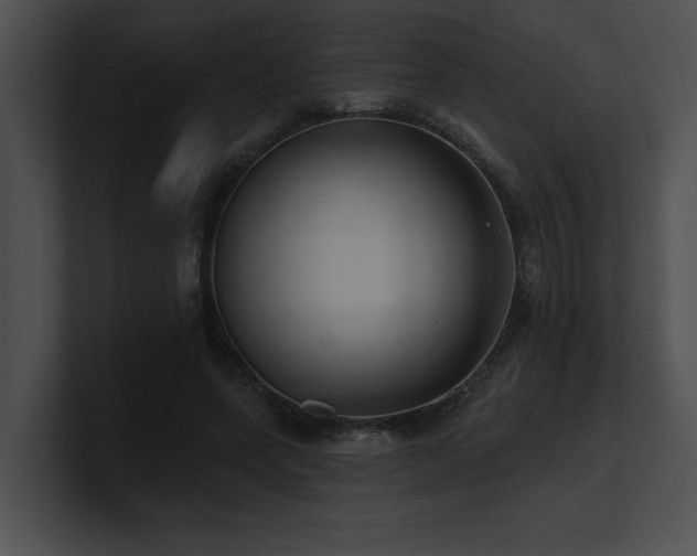 X0000100890543200806241233