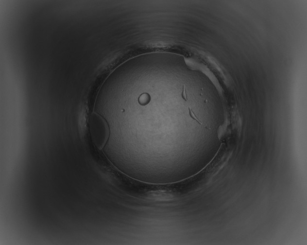 X0000100890544200806241233