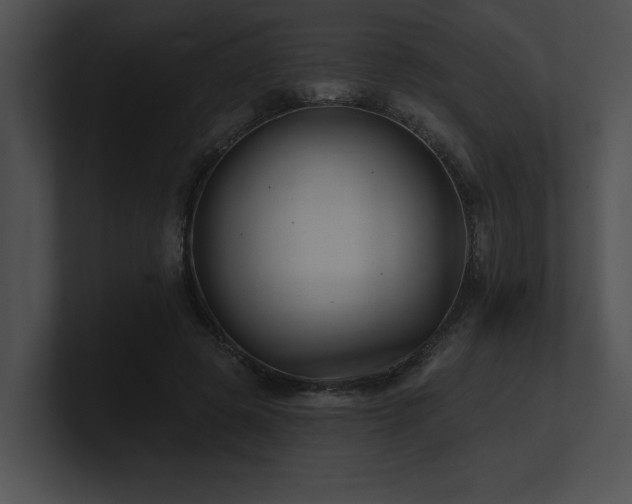 X0000100890545200806241233