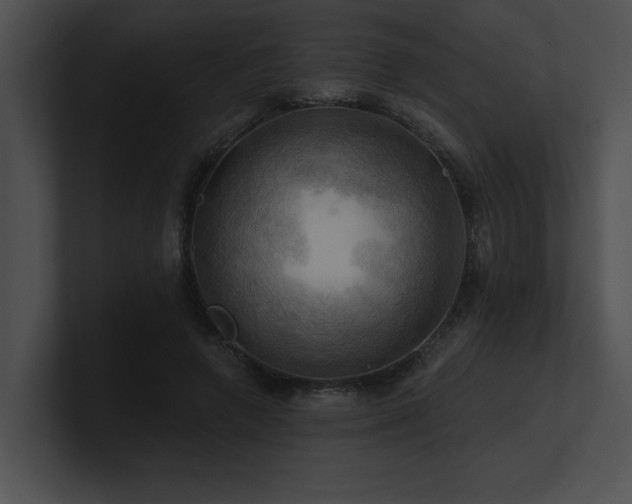 X0000100890546200806241233