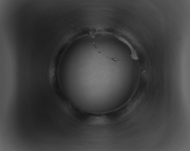 X0000100890548200806241233
