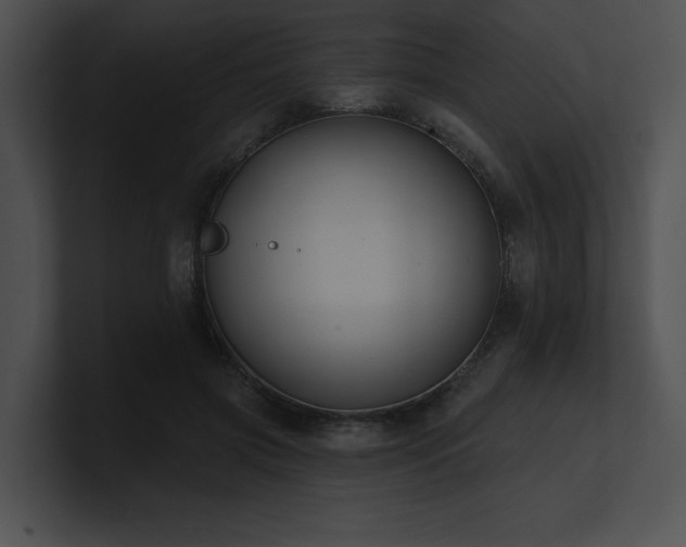 X0000100890549200806241233