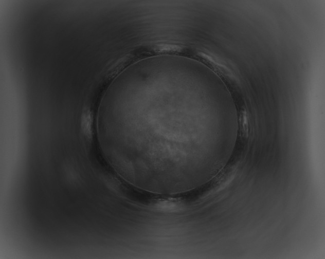 X0000100890550200806241233