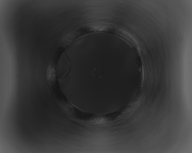 X0000100890551200806241233