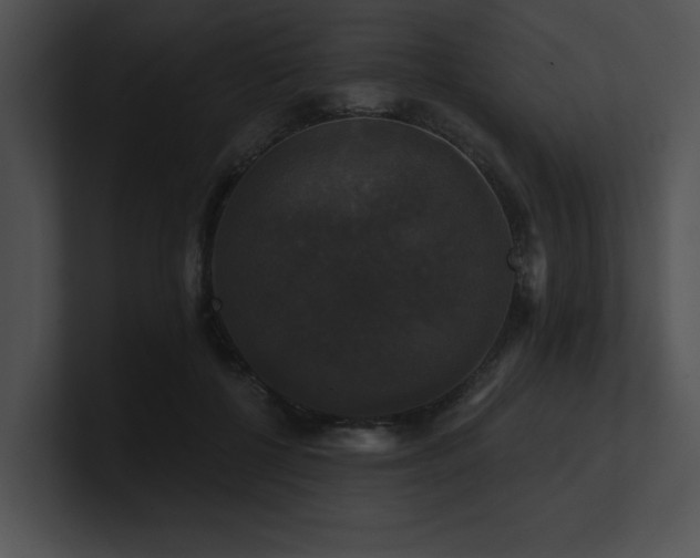 X0000100890552200806241233