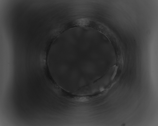 X0000100890553200806241233