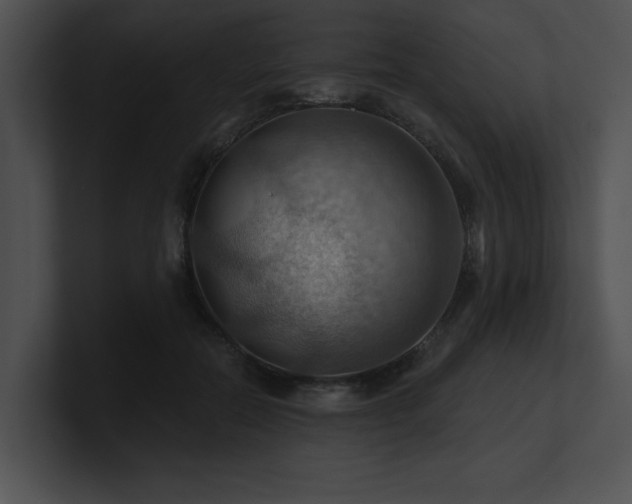X0000100890554200806241233