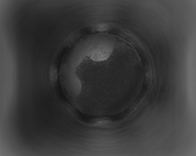 X0000100890555200806241234