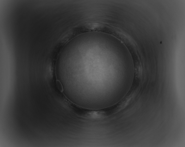 X0000100890558200806241234