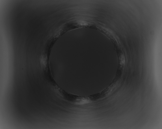 X0000100890559200806241234