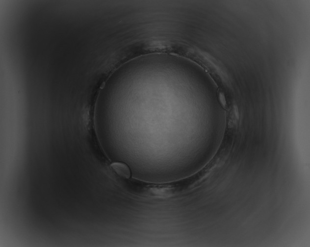 X0000100890560200806241234