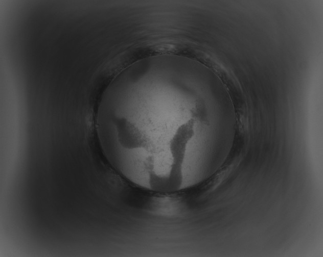 X0000100890561200806241234