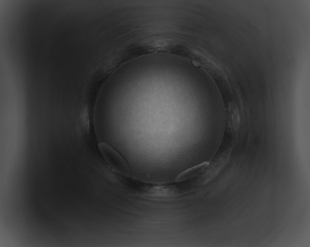 X0000100890562200806241234