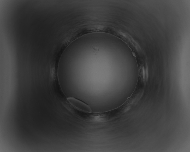 X0000100890564200806241234