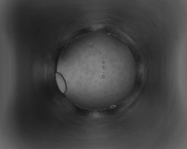 X0000100890565200806241234