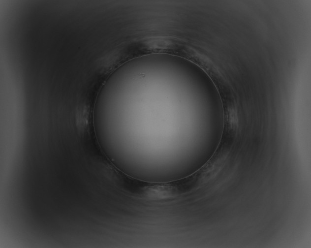 X0000100890567200806241234