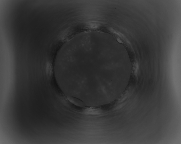 X0000100890568200806241234