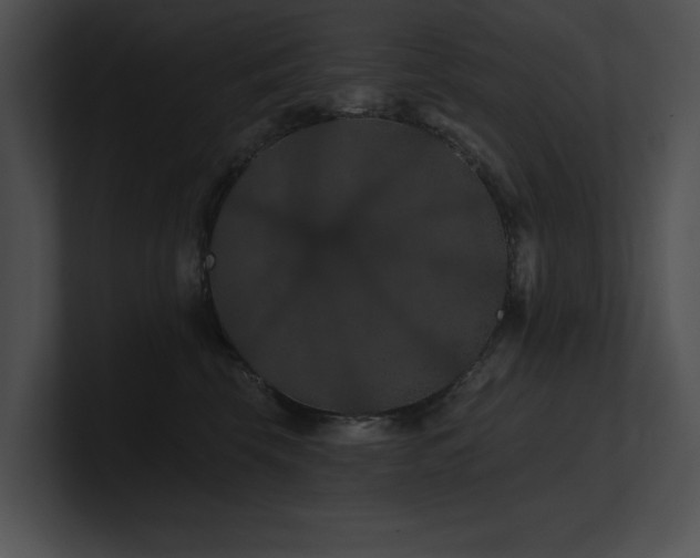 X0000100890569200806241234