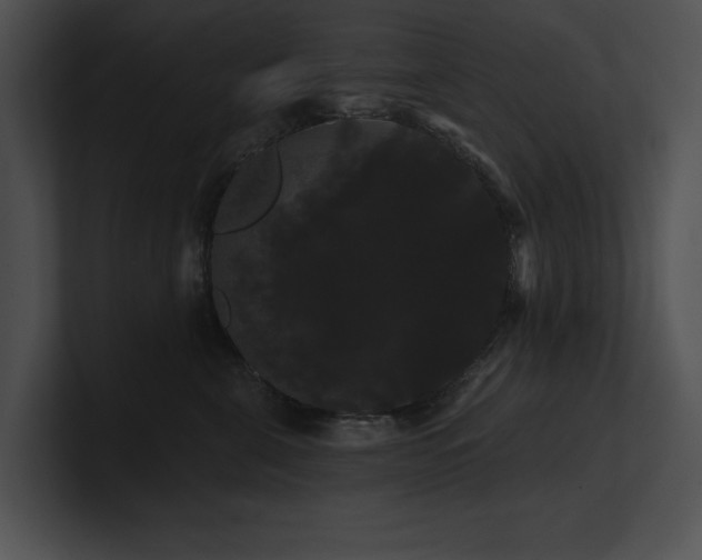 X0000100890571200806241234