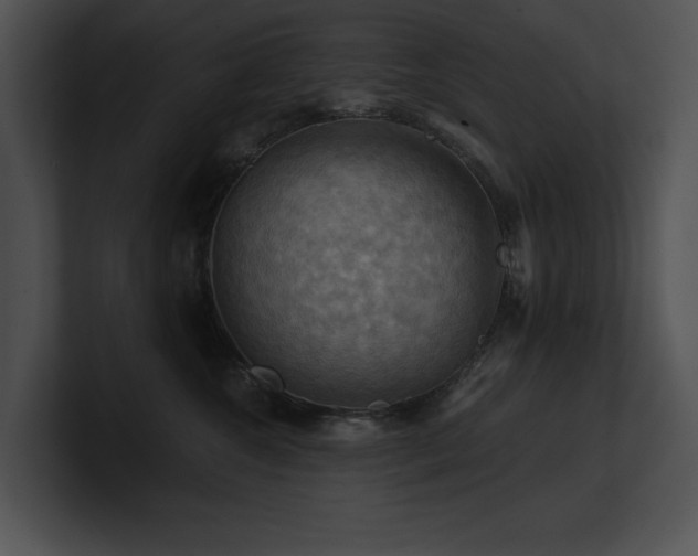 X0000100890572200806241234