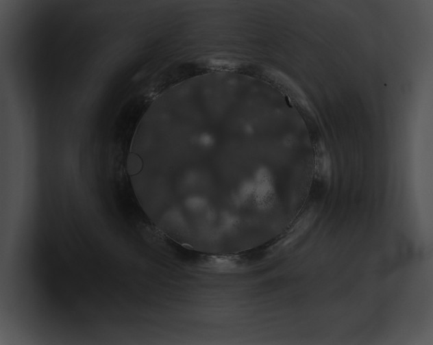 X0000100890573200806241234