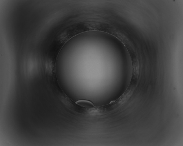 X0000100890574200806241234