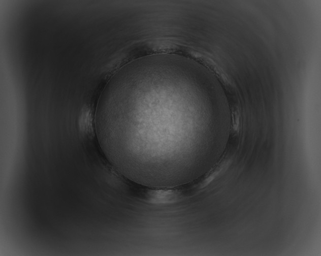 X0000100890575200806241234