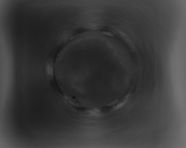 X0000100890576200806241234