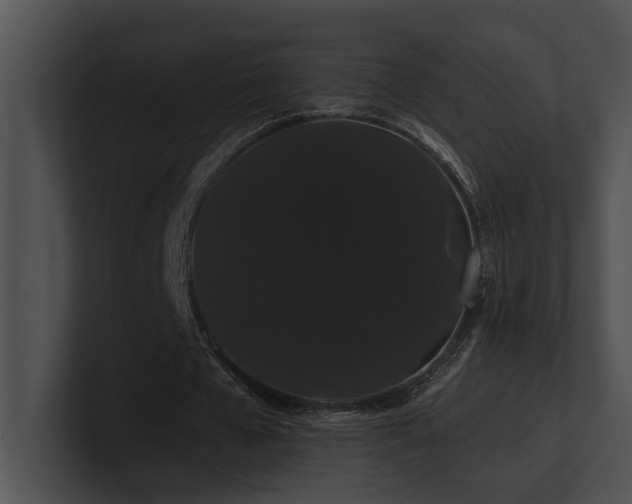 X0000100890577200806241233