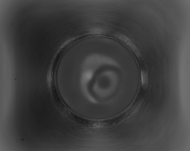 X0000100890579200806241233