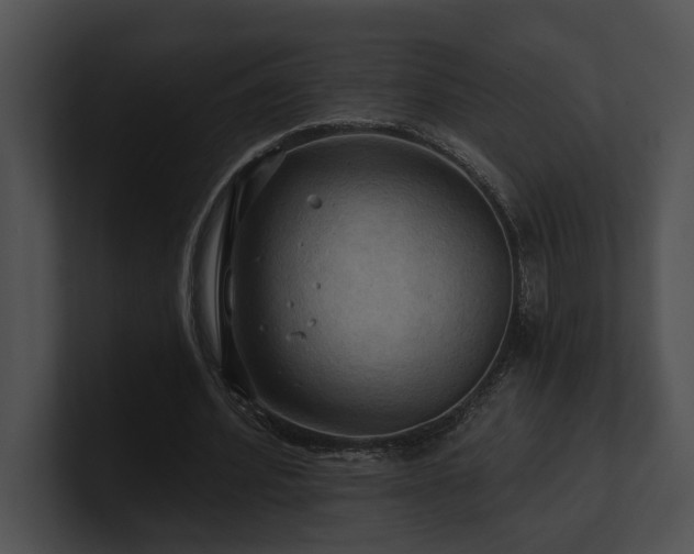 X0000100890580200806241233