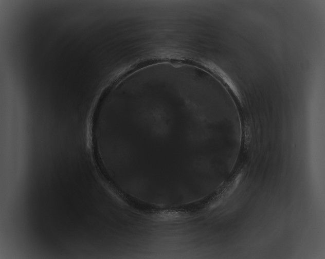 X0000100890581200806241233