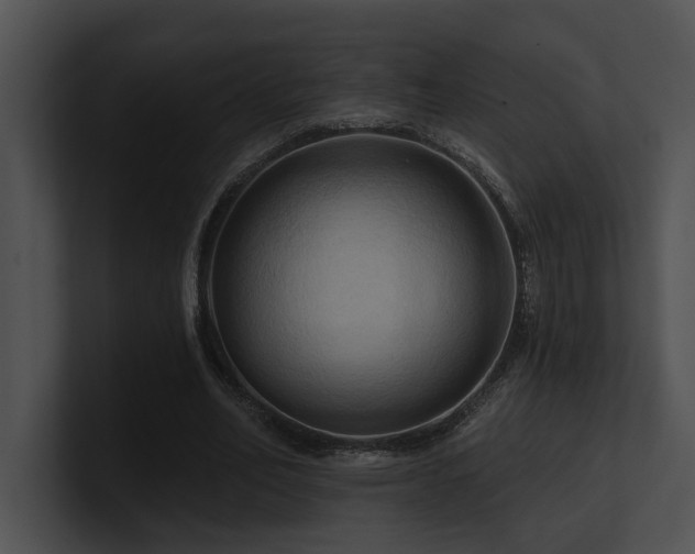 X0000100890582200806241233