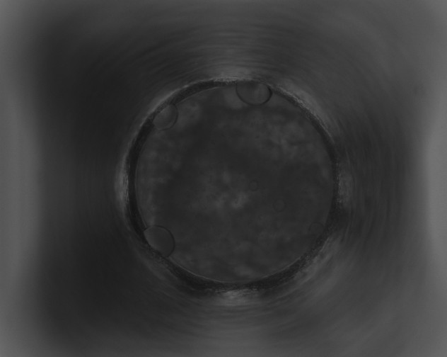 X0000100890584200806241233
