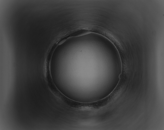 X0000100890586200806241233