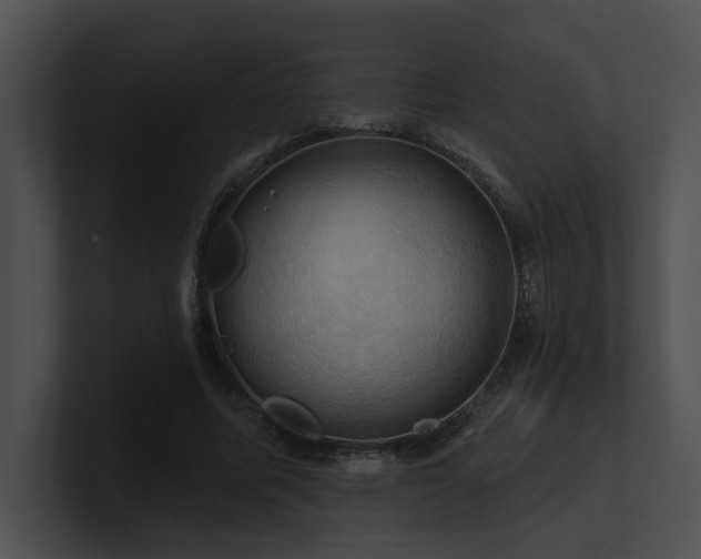 X0000100890587200806241233