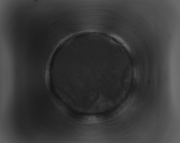 X0000100890588200806241233
