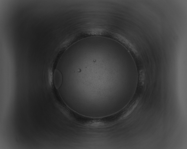 X0000100890589200806241233