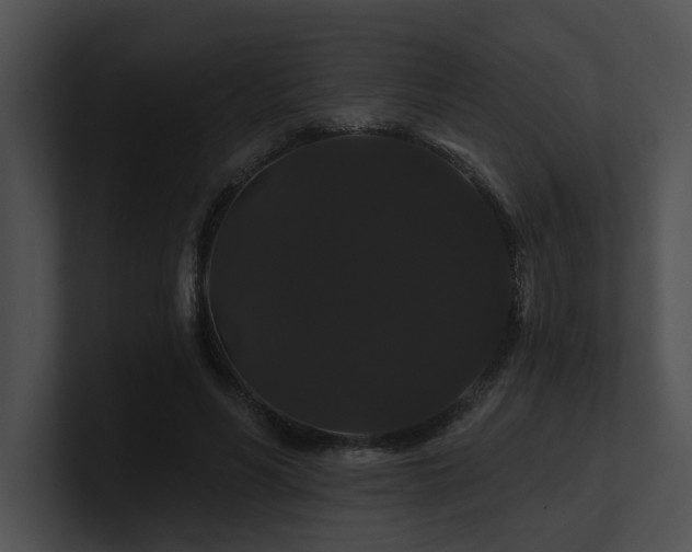 X0000100890590200806241233